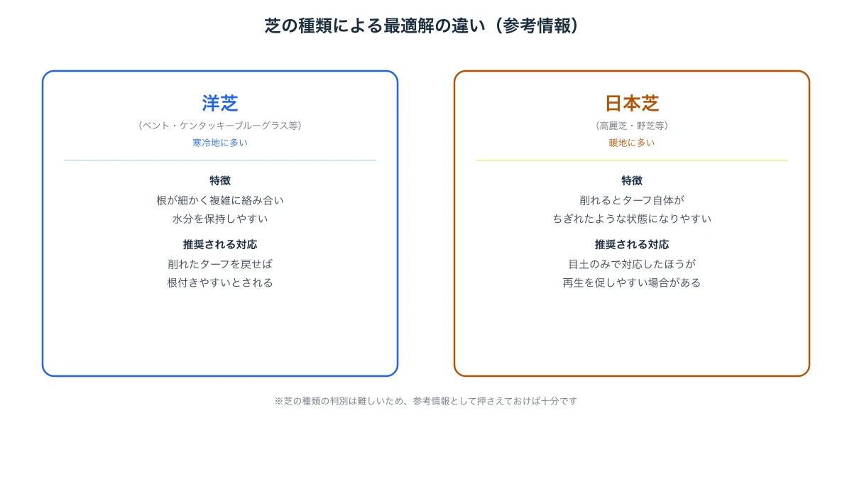 洋芝と日本芝でディボット跡への最適な対応が異なることを示す比較図